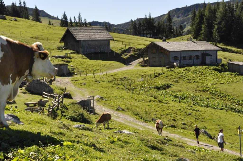 Landhaus Koller Gosau Esterno foto