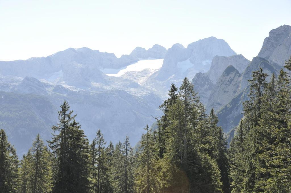 Landhaus Koller Gosau Esterno foto