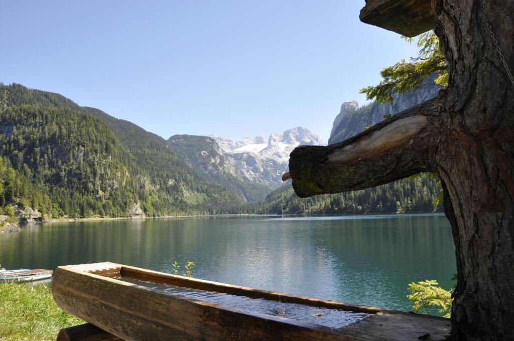Landhaus Koller Gosau Esterno foto